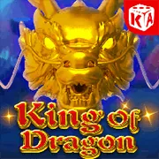 Email hỗ trợ Combet